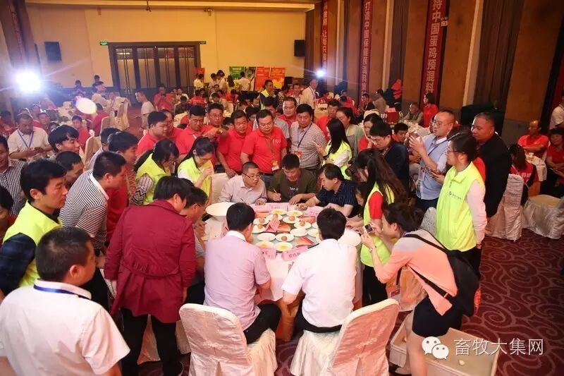 为国民操碎心的不只文人骚客，还有我们蛋鸡人