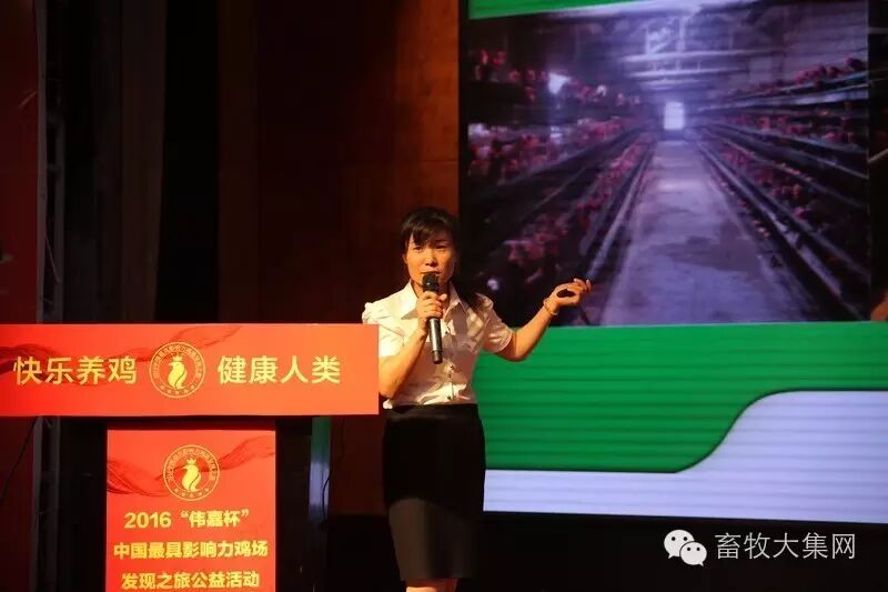 为国民操碎心的不只文人骚客，还有我们蛋鸡人