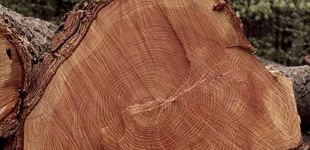 純實木辦公家具