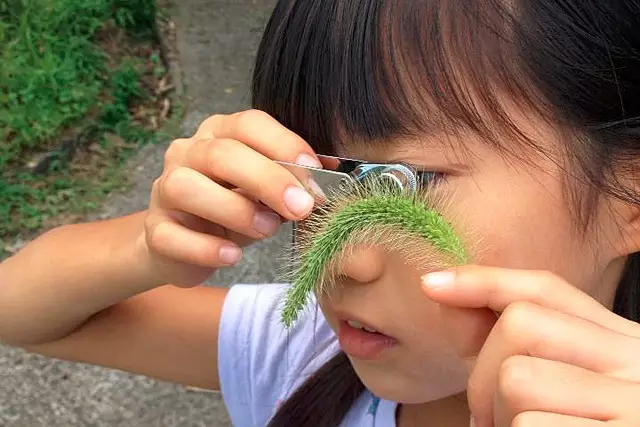 登录查看大图