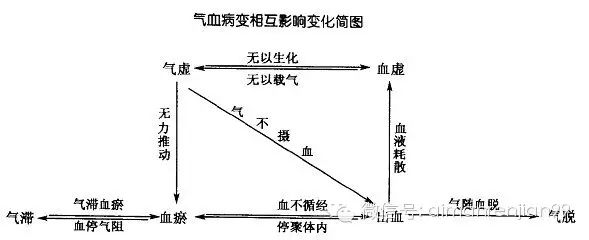 何为气血，气血的定义与由来