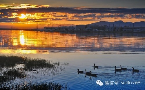 幸福莫过于三件事,有人信你,有人陪你,有人等你 - 快乐者 快乐着 - shangshanruoshui的博客 幸福莫过于三件事,有人信你,有人陪你,有人等你 - 快乐者 快乐着 - shangshanruoshui的博客