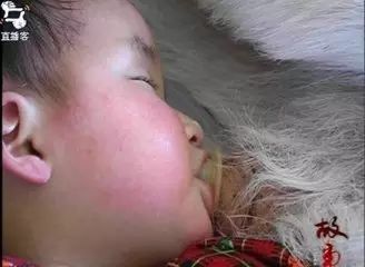一个2岁女孩被羊养大,闻者伤心见者流泪... - 吴锡安(亚亚) - 吴锡安的博客(亚亚) 一个2岁女孩被羊养大,闻者伤心见者流泪... - 吴锡安(亚亚) - 吴锡安的博客(亚亚)