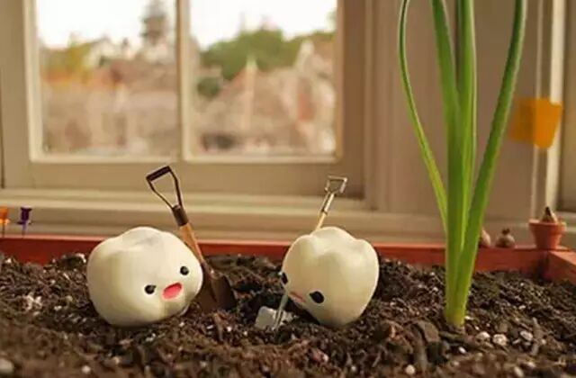 牙齿是身体健康的“晴雨表”