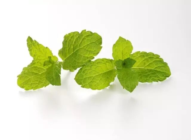 干货！ 这才是预防口腔问题的正确打开方式！