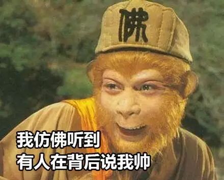 暑假君，宝宝来啦！