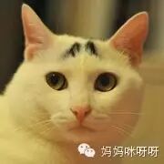 怀孕是种病,得治!-怀孕期