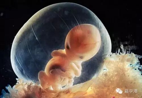 胎停育流产后多长时间可以再怀孕?-怀孕期