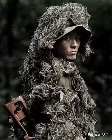 保险女业务员潜规则_猪饲料业务员收入(3)