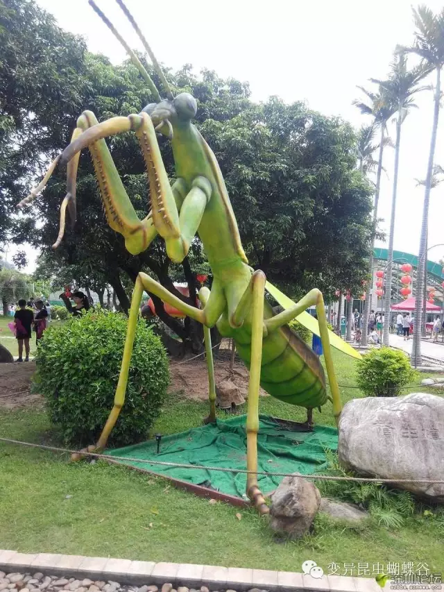 登录查看大图