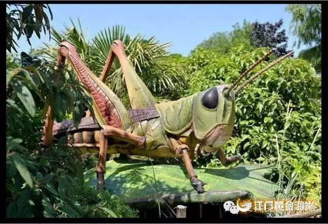 登录查看大图