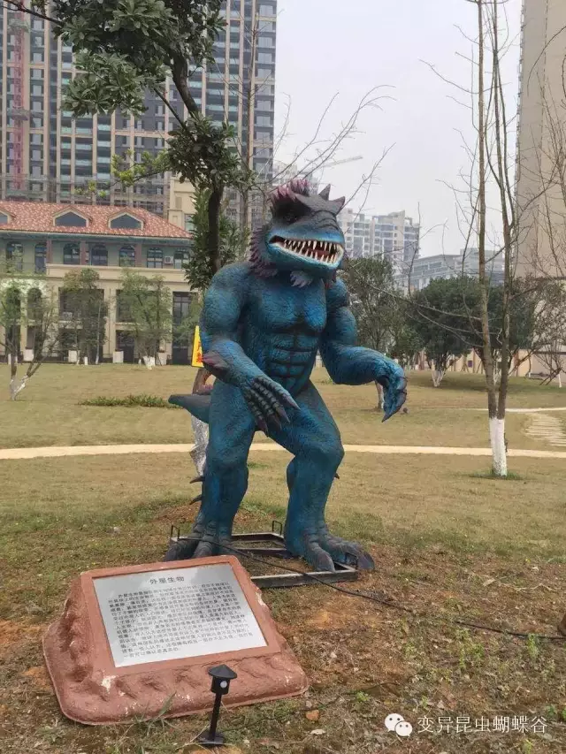登录查看大图