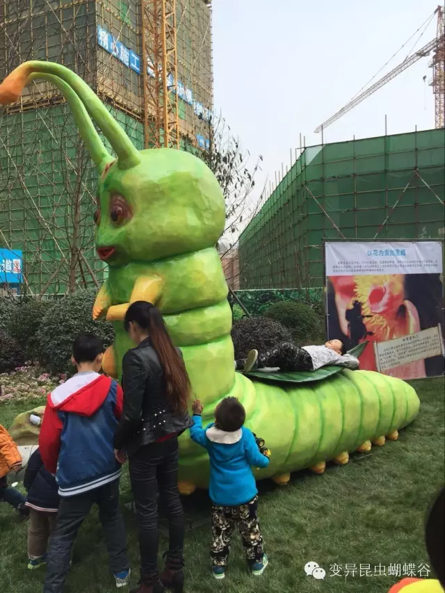 登录查看大图