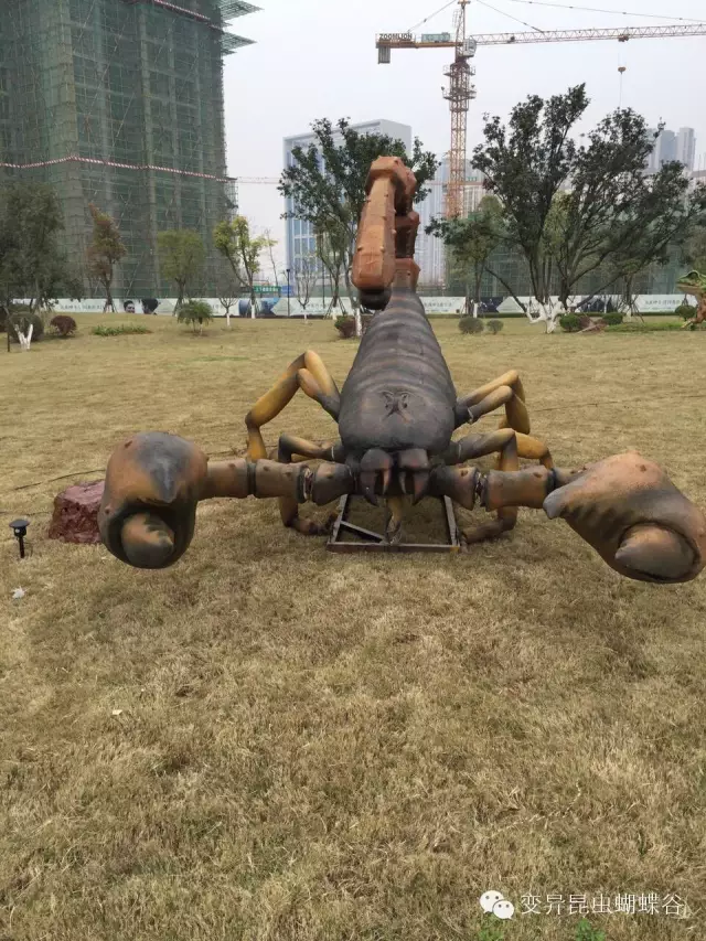 登录查看大图