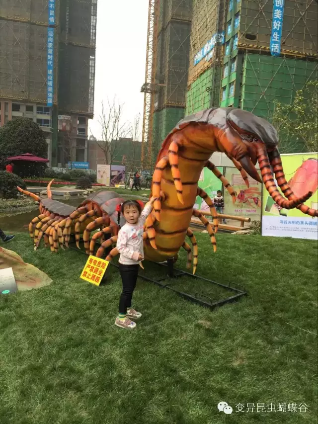 登录查看大图