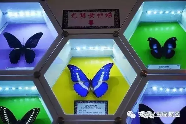 登录查看大图