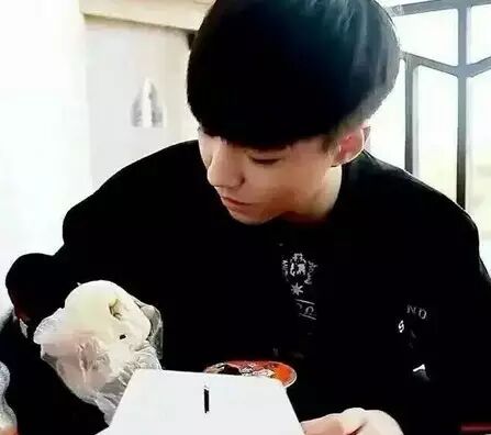 TFBOYS大哥吃包子的方法