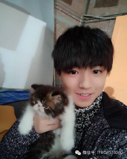 关于tfboys王俊凯20个真相