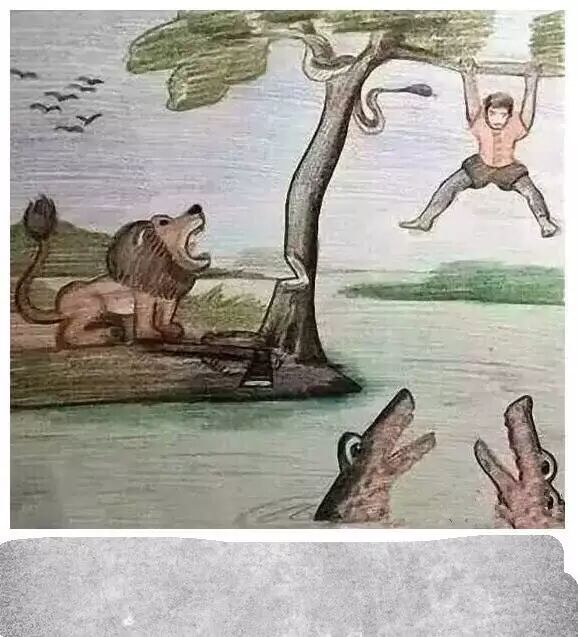 双饰面_饰面型防火涂料_饰面砂浆与真石漆的比较