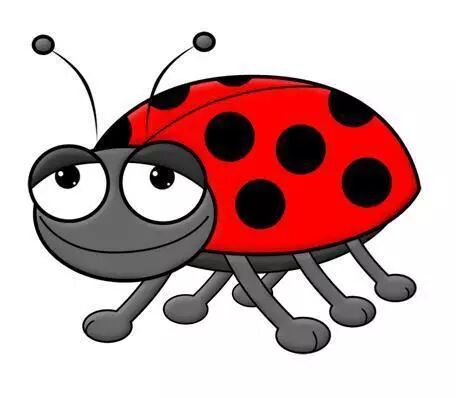 家养宠物vs.野生动物，谁比较快乐？能比吗？