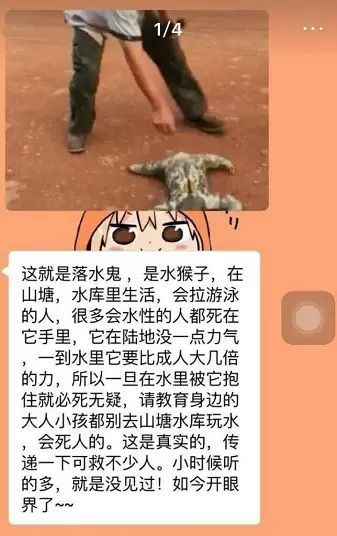 落水鬼?水猴子?最新"水鬼"出现了,这货……有点眼熟啊