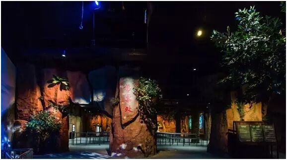 雅江光电强势出击丨旗下两大品牌点亮南昌万达