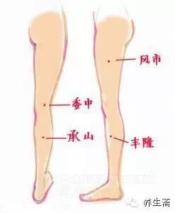 人体七个“排污口”，一按就排毒{附穴位图}