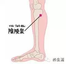 人体七个“排污口”，一按就排毒{附穴位图}