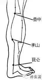 人体七个“排污口”，一按就排毒{附穴位图}