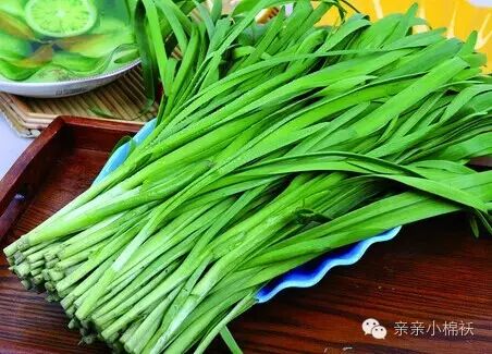 怀孕了 孕妇可以吃韭菜吗-怀孕期