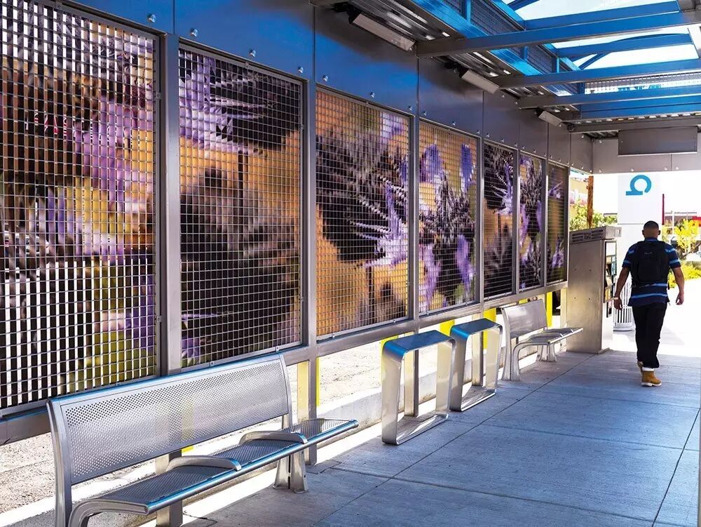 风之叶丨Leaves  of  Wind