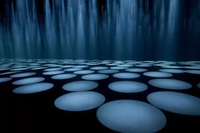 光之森林丨Forest of Light