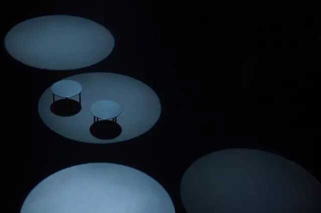 光之森林丨Forest of Light