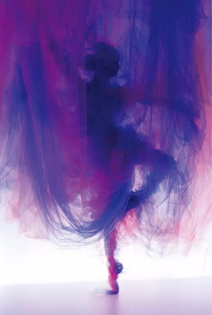 简讯丨堪培拉的“舞蹈”