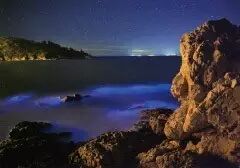 捕捉海洋中的光丨台湾“蓝岛”