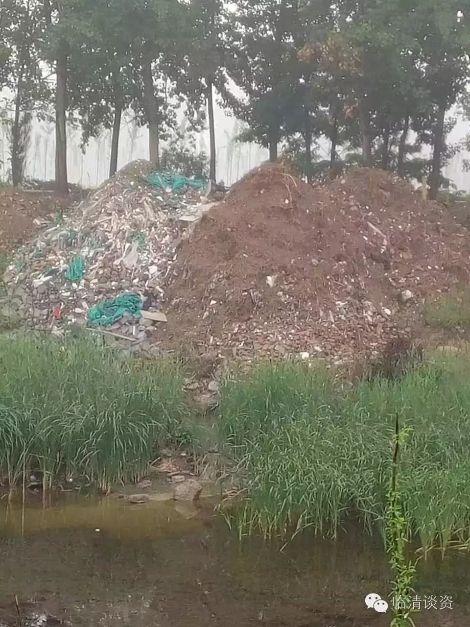 临清谈资网友留言摘选160517拯救龙山中国银行不给销卡及其他
