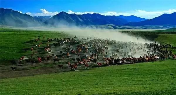 骑着毛驴游世界 人文地理 山丹军马场位于河西走廊中部,祁连山冷龙岭