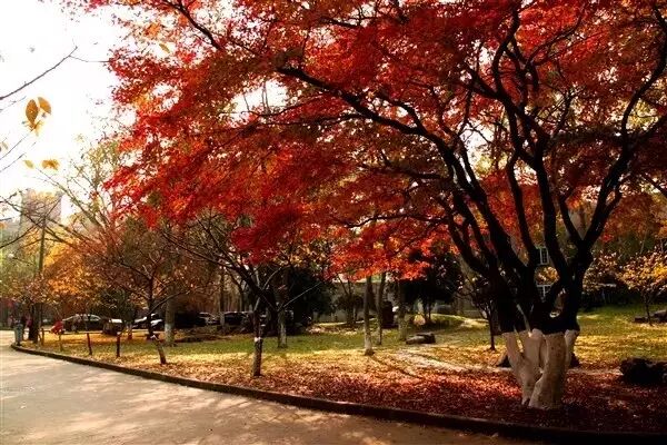 &atilde;&ccedil;&acute;&aelig;&uml;&aelig;&yen;&egrave;&atilde;&ccedil;&aring;&ccedil;&aelig;&aring;&deg;&ccedil;&micro;&aelig;