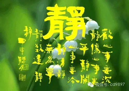 [转载]长寿不在于运动而在于静养