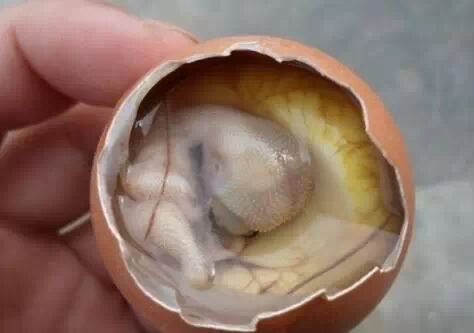 你們這樣黑我大胡建 有意思嗎！