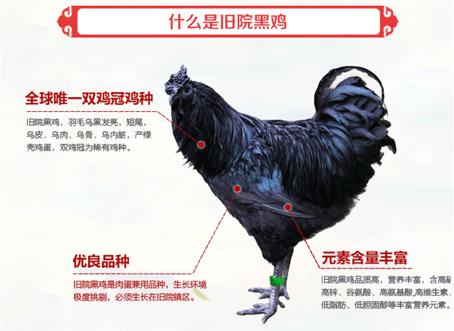 土鸡蛋中的人参 女人小孩家庭必备圣品 重庆绿天下 新浪博客