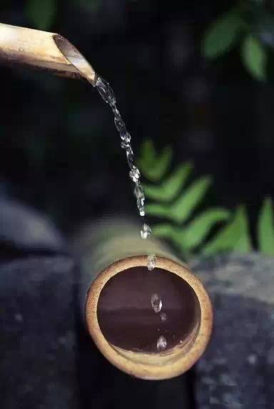 云水禅心