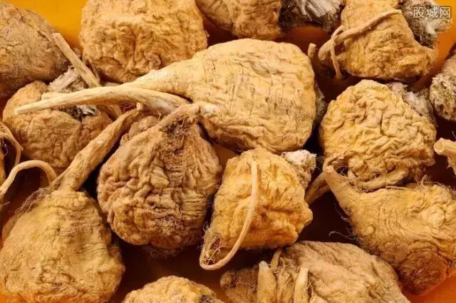 她是“植物伟哥”？她到底神不神？