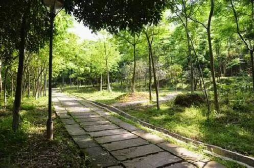 假期出行看人头？泸州近郊清肺地点一览(图6)