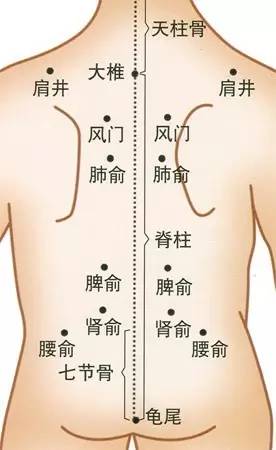 从背部刮痧看健康状况!