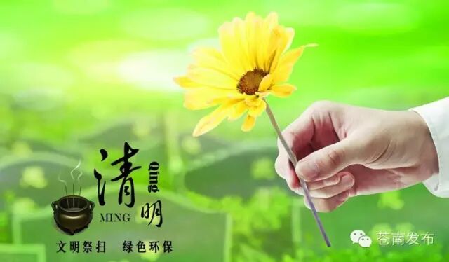 清明期间踏青祭扫 龙港设立森林消防检查点