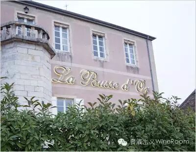 【预告】8月20日DRC酒庄的亲民体验