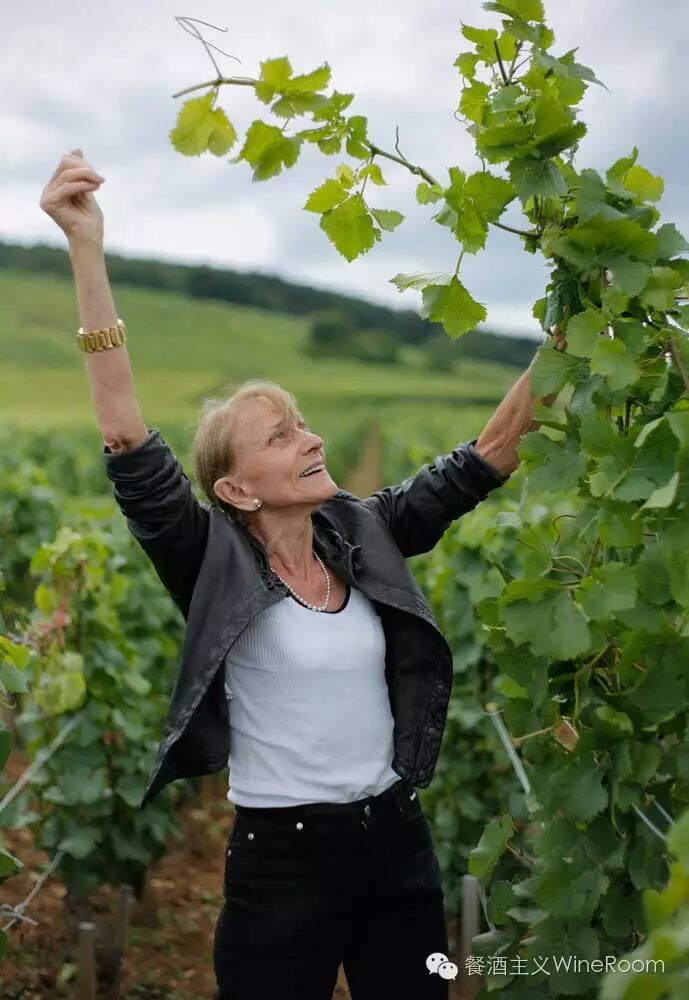 【预告】8月20日DRC酒庄的亲民体验