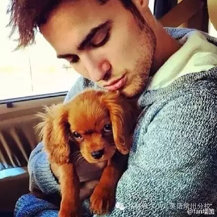 ϣٶӢ踣-ֵк͹----룡