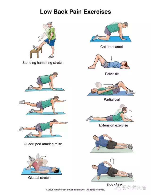 腰肌劳损的预防和治疗锻炼方法【科普篇】 (转载)